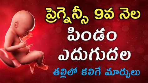 9th month pregnancy symptoms in telugu|తొమ్మిదవ నెల ప్రెగ్నెన్సీ లక్షణాలు – Ninth month .